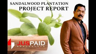 SANDALWOOD PLANTATION PROJECT REPORT  JUSPAID REAL ESTATE  JUSPAID INTERNATIONAL [upl. by Nautna]