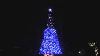 Christmas Tree Terrace Light Show at Busch Gardens Tampas Christmas Town [upl. by Littell386]