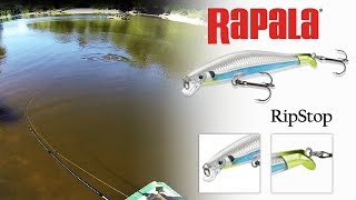 Rapala RipStop 09 Elite Blue [upl. by Kennett582]