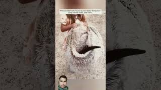 Save the Kangaroo life kangaroo animalrescue rescue babykangaroo trendingshorts facts animals [upl. by Schaab474]