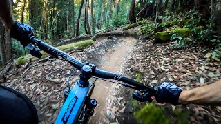 The BEST mountain bike ride in Northern California  The Flow Trail  Soquel Demo Forest [upl. by Nedry]