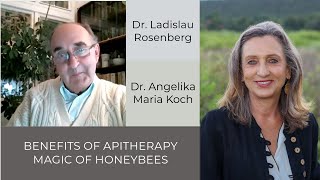 The BENEFITS OF APITHERAPY amp The MAGIC OF HONEYBEES [upl. by Lakym]