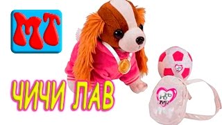 Собака ЧИЧИ ЛАВ Chi Chi Love 68с [upl. by Bartko553]