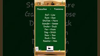 Masculine  Feminine 103 exam gender english englishgrammar [upl. by Atenik]