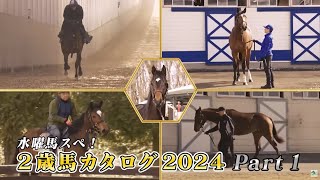 【POG】2歳馬カタログ2024 Part1  JRAVAN【公式】 [upl. by Bull]