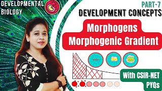 Basics of Developmental Biology  Morphogens  Morphogenetic Gradient  CSIR NET PYQs [upl. by Aundrea34]