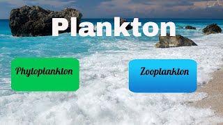 Difference between Zooplankton and Phytoplankton [upl. by Ibrek]