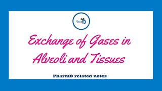 Exchange of Gases in Alveoli and Tissues [upl. by Winston]