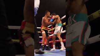 ABSOLUTE MADNESS FROM RINGSIDE boxing elvisrodriguez boxinghighlights [upl. by Childers194]