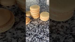 Macarons Without Almond Flour [upl. by Hgielrac226]