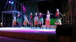 THE DNA DANCE ACADEMY PRESENTS NICOBAR TRIBAL FOLK DANCE PROFORM HAVELOCK BEACH RESORT CORAL REEF [upl. by Rossner869]