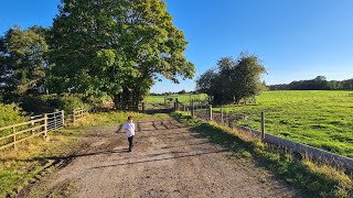 Site of Tinkers Green Halt To serve the old Park Hall military base Oswestry to Ellesmere Line [upl. by Eisiam]