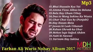 Farhan Ali Waris Yateem hay Sakina 😭💔 Nohye Album MP3 Nohye  Farhan Ali Waris 20241444 [upl. by Llenod104]