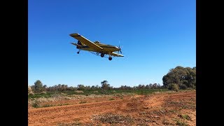 Aerial Application on Wheat by Kidman Aviation [upl. by Ellehc758]