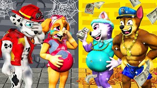 PAW Patrol The Movie 36 ►Rich Chase vs Poor Marshall Skye  What happened to the Paw Patrol Pups [upl. by Eetnwahs]