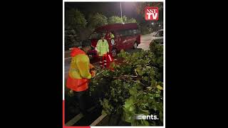 Strong winds uproot trees in 20 locations on Penang island [upl. by Lilia]