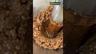 Almond Oil making  badam wood press oil  cold pressed oil  wooden cold pressed  cold press oil [upl. by Imef365]