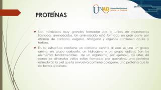 Unidad 2 Tarea 2 Andres Romero Biomoléculas [upl. by Starlin]