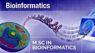 MSc in Bioinformatics [upl. by Whitford]