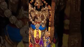 Thirumukkudal Appan Prasanna Venkatesa Perumal darshan 🙏perumal youtubeshorts [upl. by Odlaner828]