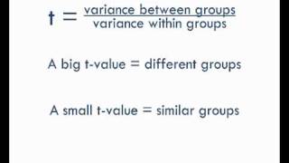 StatsCast What is a ttest [upl. by Eenaj577]