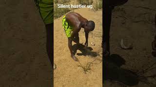 Easiest way to catch fish in a river in chipinge zimbabwe silenthustlerug zimbabwe farming [upl. by Bethina24]