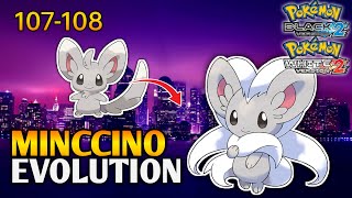 How To Evolve Cinccino Into Minccino In Pokemon Black 2 amp White 2 [upl. by Nniuq]