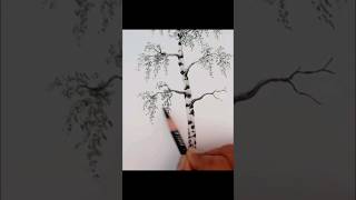 how to draw birch tree by charcoaldrawing shortsfeed shorts [upl. by Krum43]