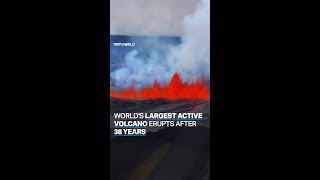 Worlds largest active volcano erupts in Hawaii after 38 years [upl. by Purity194]