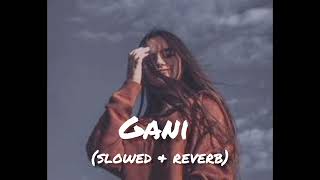 Gani 🖤💝🥰 Slowed and Reverb Lofi Song [upl. by Lerrehs]