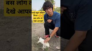 Saurav Joshi ne ki billi ki help 🥰 cat vlog souravjoshivlogs help shorts videoshort viralnow [upl. by Llerat]