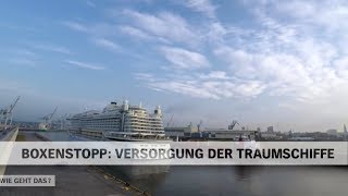 Versorgung und Abfertigung der TraumschiffeKreuzfahrtschiffe im Hafen Hamburg  NDR Doku [upl. by Adnalahs700]