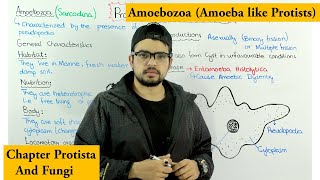 Animal like protists  Amoebozoa Sarcodina Chapter Protista [upl. by Kristian]