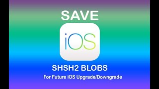 How to Save SHSH2 Blobs On A12A13 Devices Using Windows XS XS Max And XR [upl. by Ardnatal]