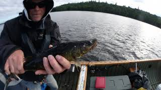 Cabonga Reservoir Walleye Fishing RIP Dad [upl. by Teraj]