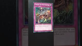 Traptrix trap hole nightmare yugioh yugiohcommunity yugiohcards yugiohtcg traptrix [upl. by Jc]