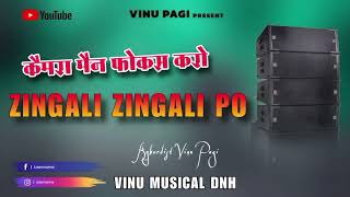 कैमरा मैन फोकस करो  Zingali Zingali po  part 2  Vinu Musical DNH 2023 2024 tarpa [upl. by Eylrac264]