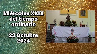 Miércoles XXIX del tiempo ordinario 23 Octubre 2024 [upl. by Eelatsyrc]