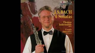 J S Bach  Sonata BWV 1030b gMoll  Indermühle Dütschler [upl. by Schuyler]