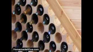 Watch How To Make Homemade Wine From Chilean Merlot Grapes [upl. by Yerac805]