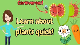 Learn all about PLANTS in 2 minutes  Plant adventures with Mrs P [upl. by Enyawal899]