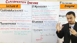 Classification of Enzyme 6 types Full detail lecture in Hindi and Urdu by Aizaz Ahmed [upl. by Studdard]