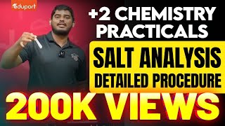 Plus Two Chemistry Practicals  Salt Analysis  Detailed Procedure Including Experiment  Plus Two [upl. by Nivrad309]