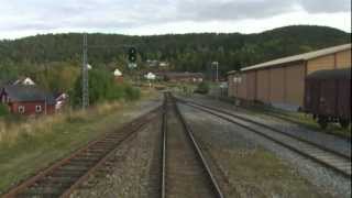 Cab Ride Norway  Trondheim  Bodø fall Nordland Line [upl. by Eenahs]