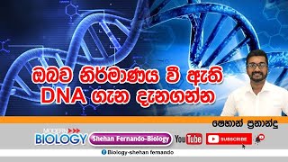 DNA structure න්‍යශ්ටික අම්ල [upl. by Gould]