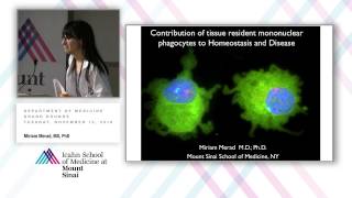 Contribution of Tissue Resident Mononuclear Phagocytes to Homeostasis and Disease [upl. by Gnidleif116]