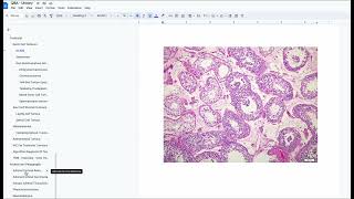 FRCPath 1 Histopathology BEST STUDY MATERIAL [upl. by Ledarf]