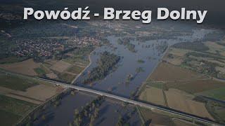 Powódź 2024  Brzeg Dolny [upl. by Enilec398]