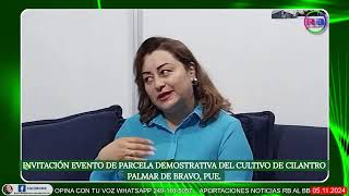 Agro amanecer invita a parcela demostrativa de cilantro en Palmar de Bravo [upl. by Thedric]