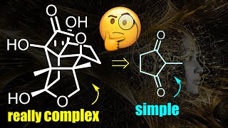 Organic Chemistry Masterclass Insanely complex neuroprotective Illisimonin A reaction mechanisms [upl. by Onairelav]